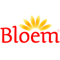 Bloem